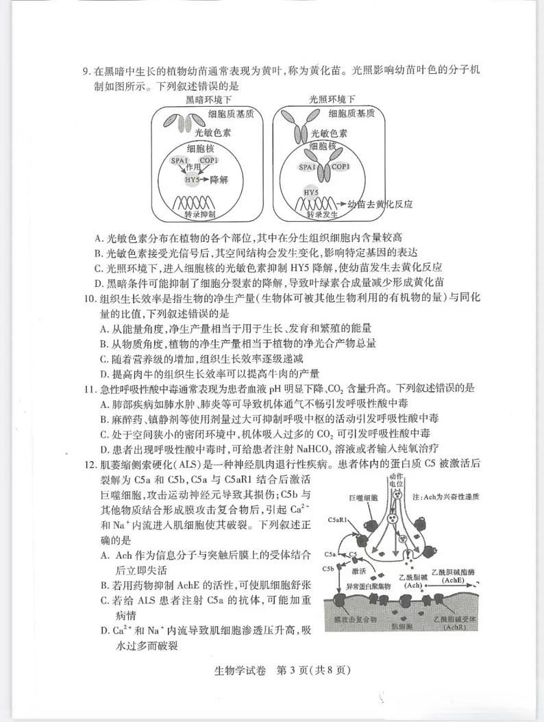 武汉市2023年高中毕业生四月调考生物试卷第3页