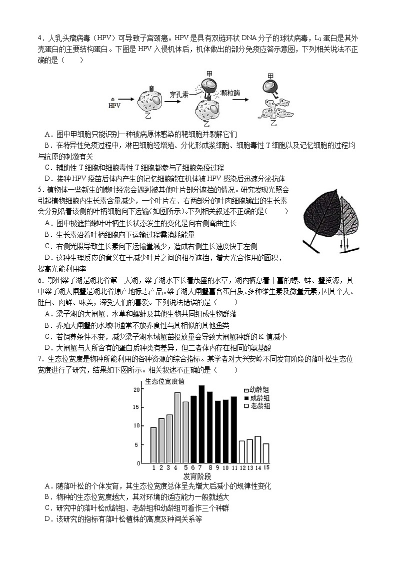 湖北省荆州市沙市中学等五校2022-2023学年高二生物下学期4月期中联考试题（Word版附答案）02