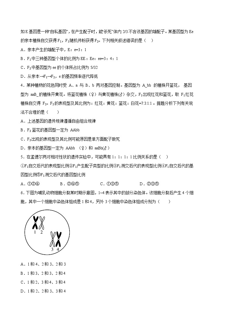 生物（江苏专用A卷）-（考试版）A4（范围：必修2第1-3章）第2页