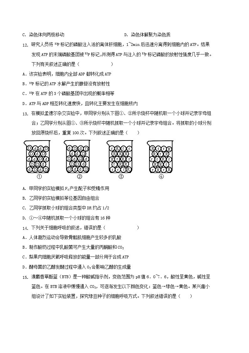 生物（浙科版2019B卷）（考试版）A4（范围：必修1 必修2第1、2章和第3章）第3页