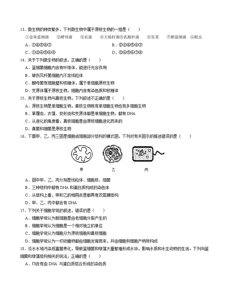 第1章 走进细胞【测试卷】-2022-2023学年高一生物单元复习过过过（人教版2019必修1）（原卷版）第3页