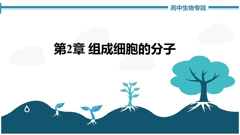 第2章 组成细胞的分子【复习课件】-2022-2023学年高一生物单元复习（人教版2019必修1）01