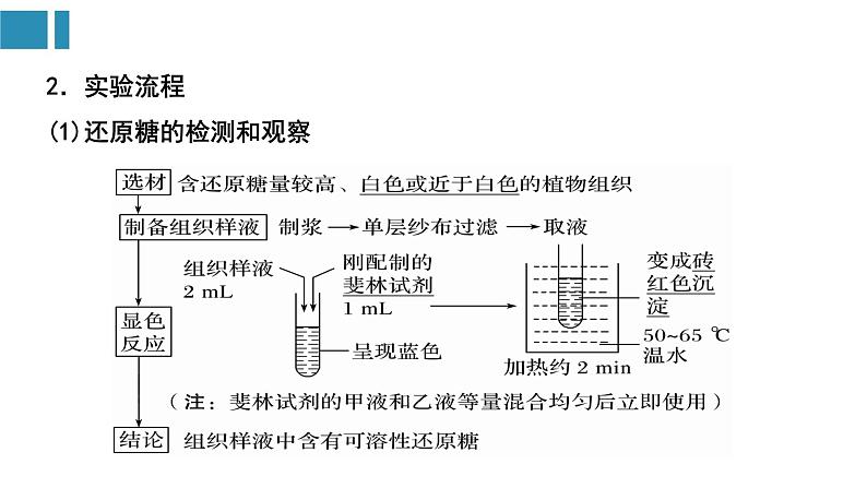 第2章 组成细胞的分子【复习课件】-2022-2023学年高一生物单元复习（人教版2019必修1）07