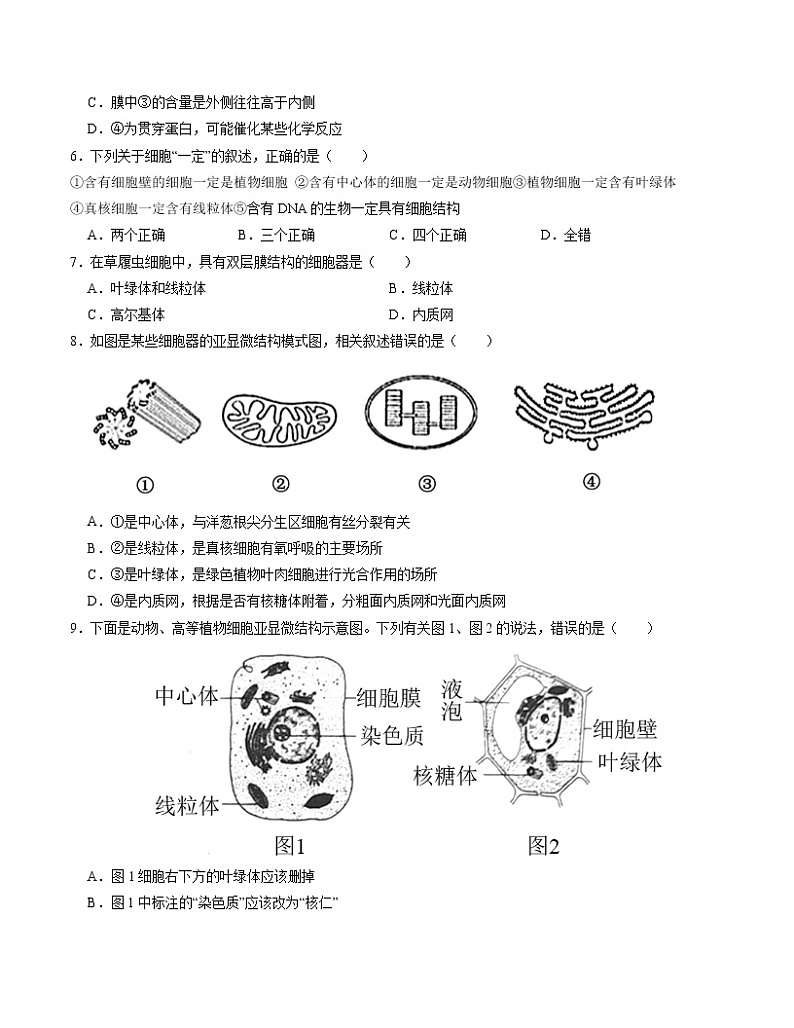 第3章 细胞的基本结构【测试卷】-2022-2023学年高一生物单元复习过过过（人教版2019必修1）（原卷版）第2页