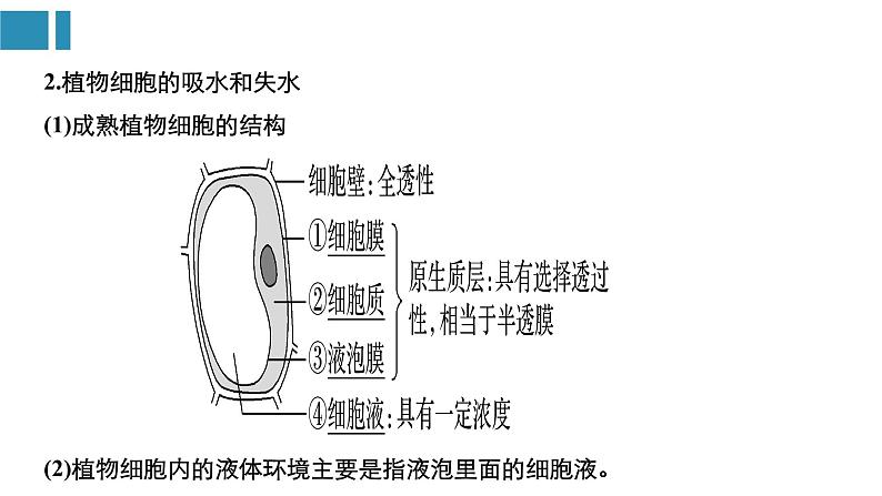 第4章+细胞的物质输入和输出（复习课件）-+2022-2023学年高一生物单元复习（人教版2019必修1）第5页