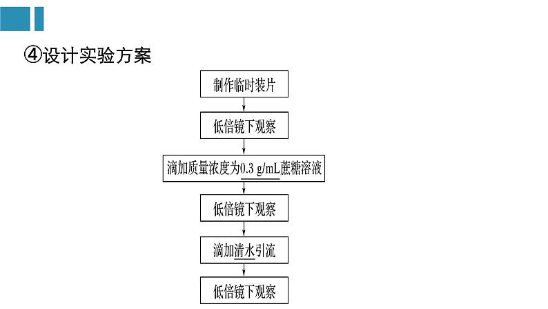 第4章+细胞的物质输入和输出（复习课件）-+2022-2023学年高一生物单元复习（人教版2019必修1）第7页