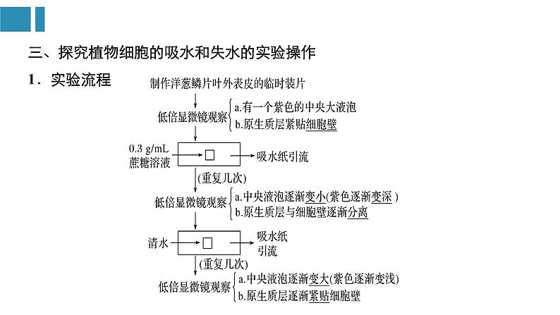 第4章+细胞的物质输入和输出（复习课件）-+2022-2023学年高一生物单元复习（人教版2019必修1）第8页