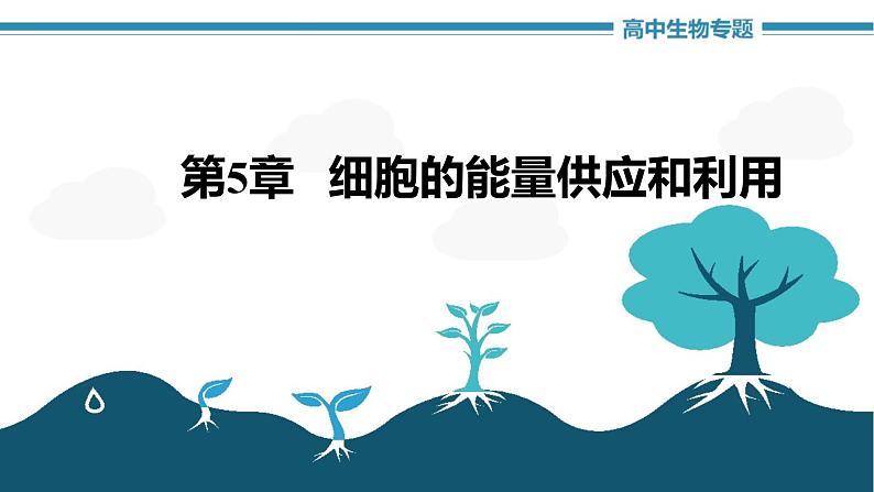 第5章 细胞的能量供应和利用（复习课件）- 2022-2023学年高一生物单元复习（人教版2019必修1）第1页