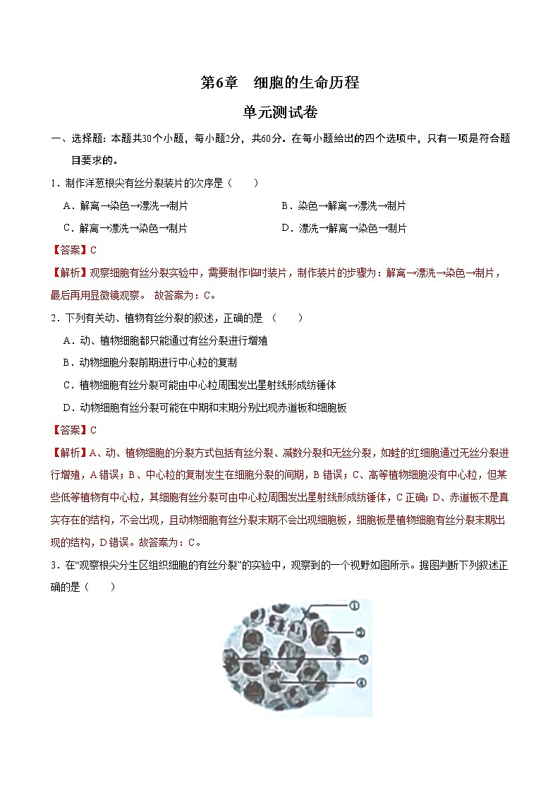 第6章 细胞的生命历程（测试卷）-2022-2023学年高一生物单元复习过过过（人教版2019必修1）（解析版）第1页