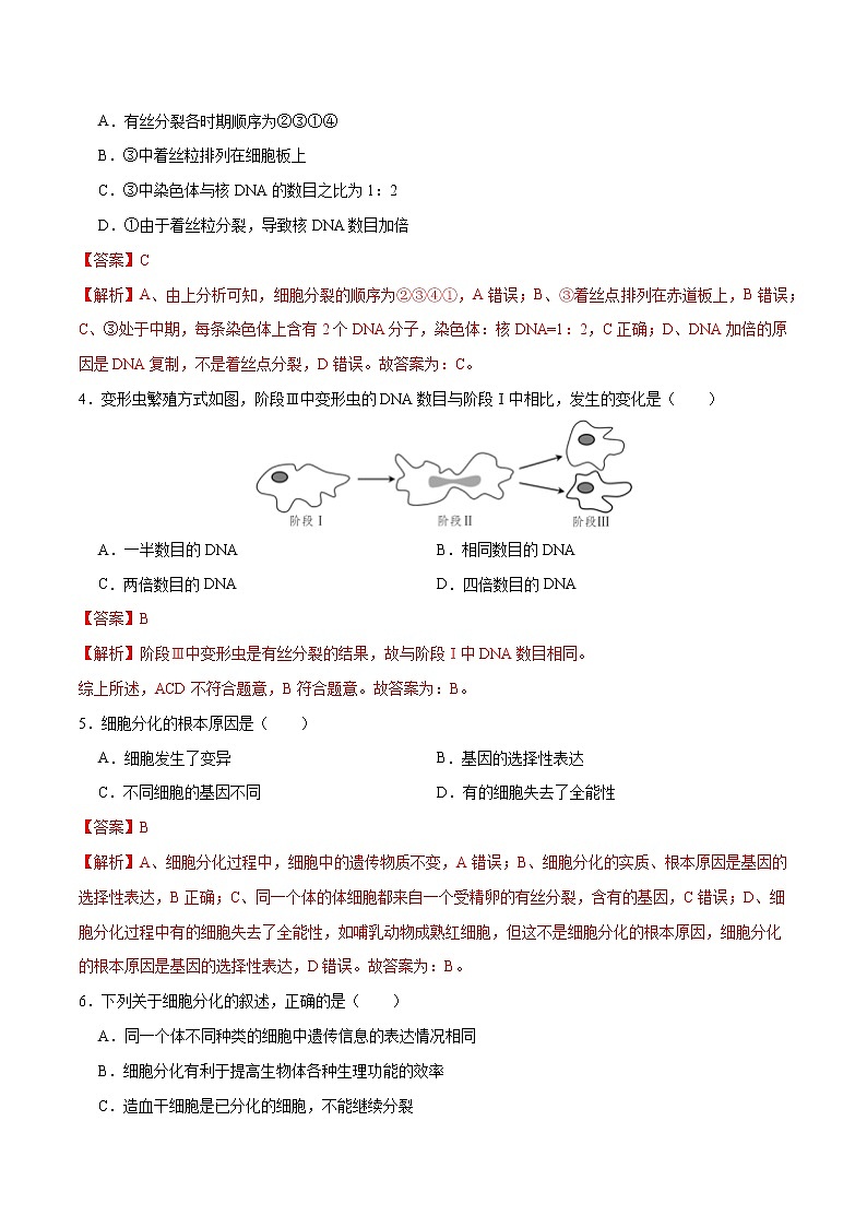 第6章 细胞的生命历程（测试卷）-2022-2023学年高一生物单元复习过过过（人教版2019必修1）（解析版）第2页