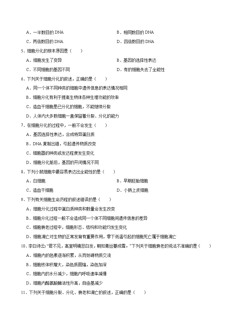 第6章 细胞的生命历程（测试卷）-2022-2023学年高一生物单元复习过过过（人教版2019必修1）（原卷版）第2页