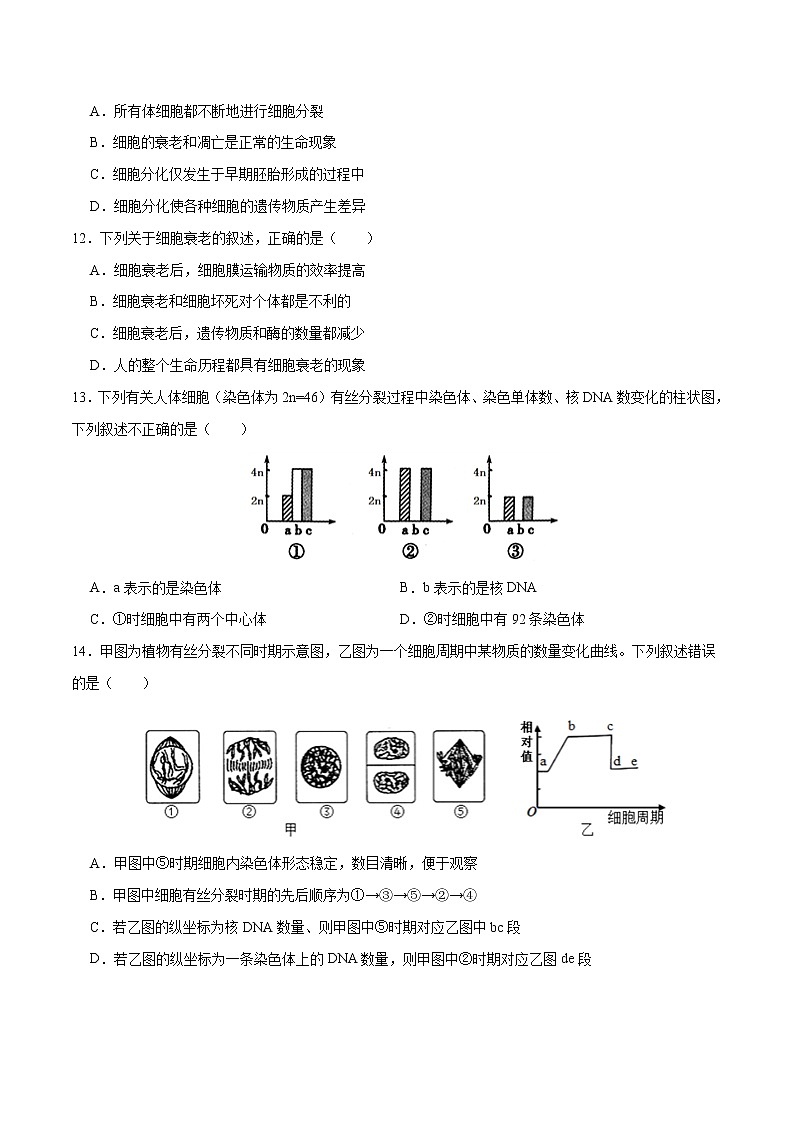 第6章 细胞的生命历程（测试卷）-2022-2023学年高一生物单元复习过过过（人教版2019必修1）（原卷版）第3页