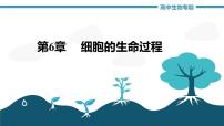 第6章+细胞的生命历程（复习课件）-+2022-2023学年高一生物单元复习（人教版2019必修1）