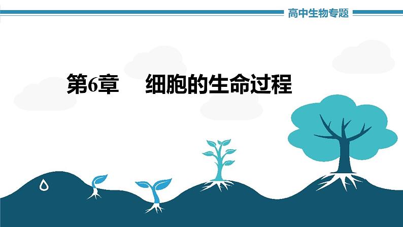 第6章+细胞的生命历程（复习课件）-+2022-2023学年高一生物单元复习（人教版2019必修1）01