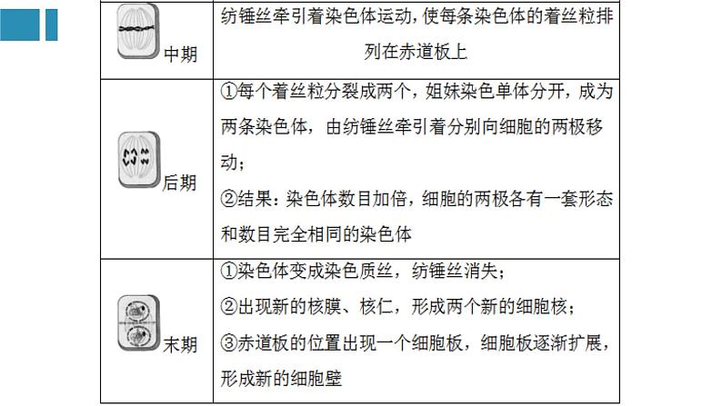 第6章+细胞的生命历程（复习课件）-+2022-2023学年高一生物单元复习（人教版2019必修1）06