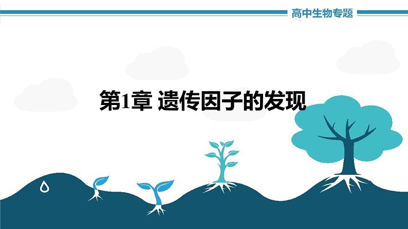 第1章 遗传因子的发现（复习课件）-2022-2023学年高一生物单元复习（人教版2019必修2）01