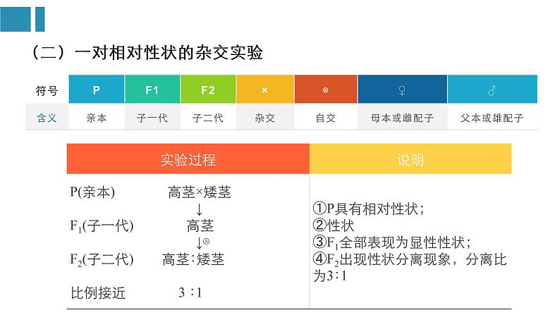 第1章 遗传因子的发现（复习课件）-2022-2023学年高一生物单元复习（人教版2019必修2）04