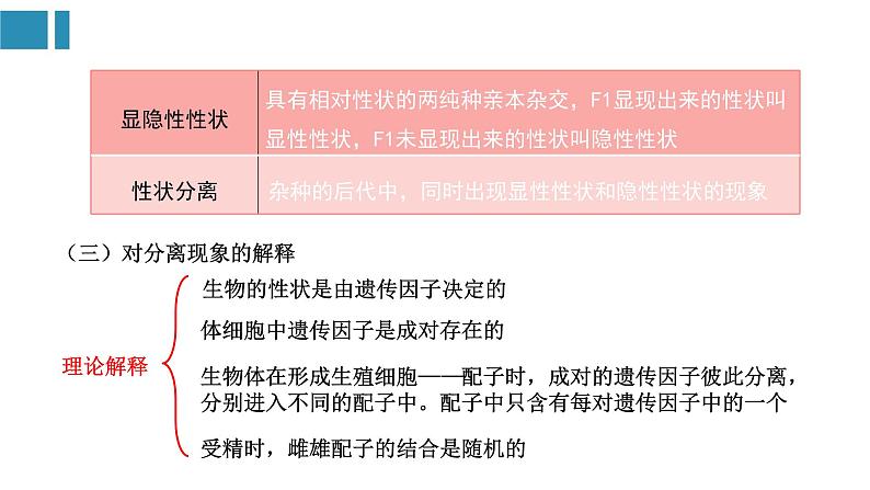 第1章 遗传因子的发现（复习课件）-2022-2023学年高一生物单元复习（人教版2019必修2）05