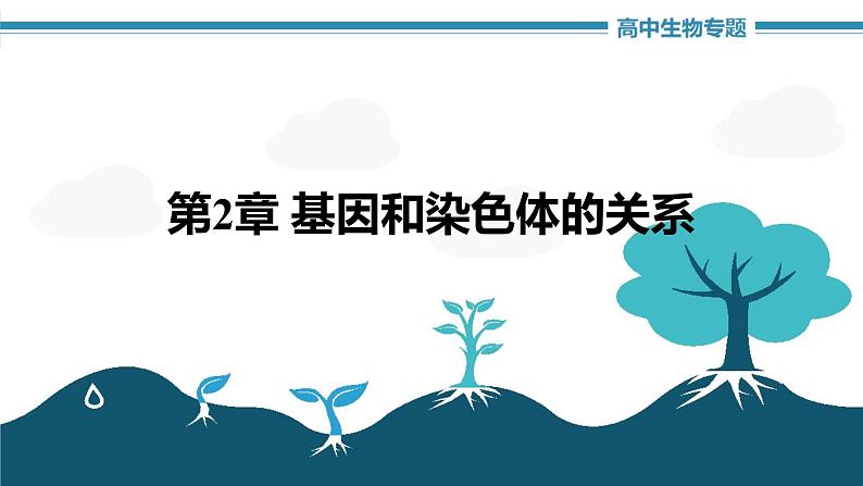 第2章 基因和染色体的关系（复习课件）-2022-2023学年高一生物单元复习（人教版2019必修2）01