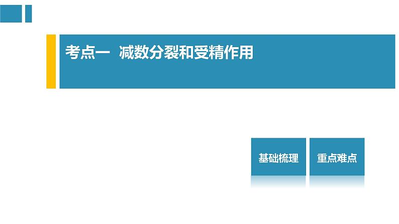 第2章 基因和染色体的关系（复习课件）-2022-2023学年高一生物单元复习（人教版2019必修2）02