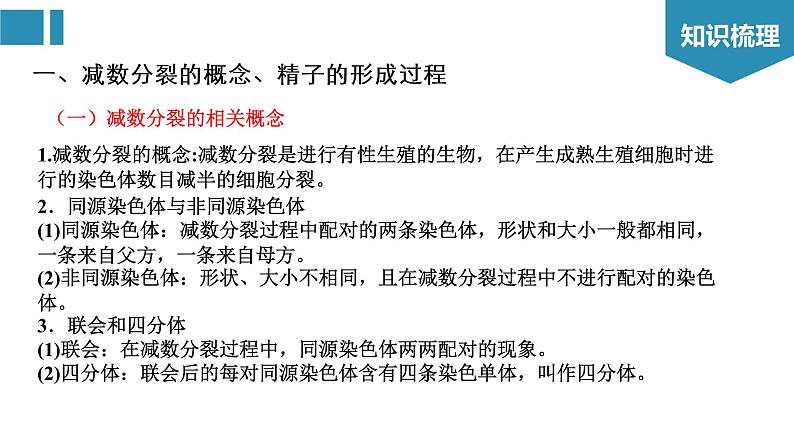 第2章 基因和染色体的关系（复习课件）-2022-2023学年高一生物单元复习（人教版2019必修2）03