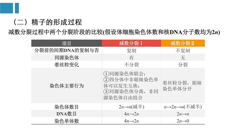 第2章 基因和染色体的关系（复习课件）-2022-2023学年高一生物单元复习（人教版2019必修2）04