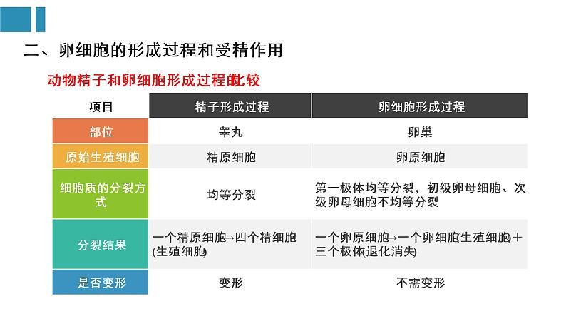 第2章 基因和染色体的关系（复习课件）-2022-2023学年高一生物单元复习（人教版2019必修2）05