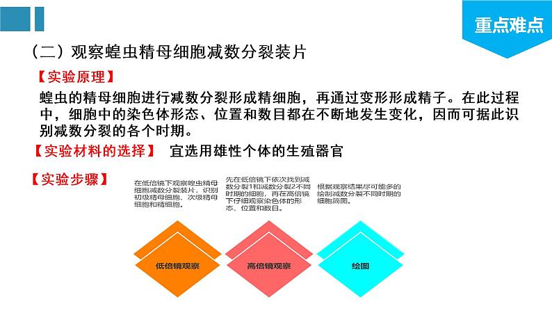 第2章 基因和染色体的关系（复习课件）-2022-2023学年高一生物单元复习（人教版2019必修2）06