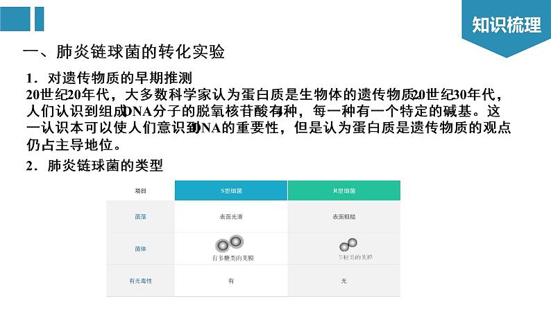 第3章 基因的本质（复习课件）-2022-2023学年高一生物单元复习（人教版2019必修2）第3页