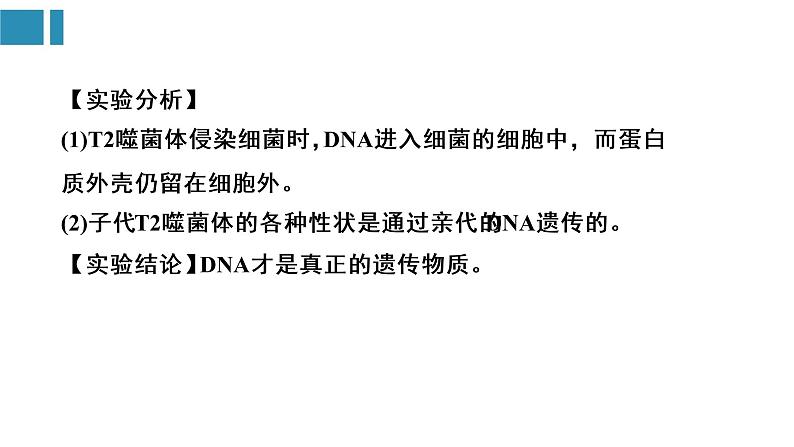 第3章 基因的本质（复习课件）-2022-2023学年高一生物单元复习（人教版2019必修2）第7页