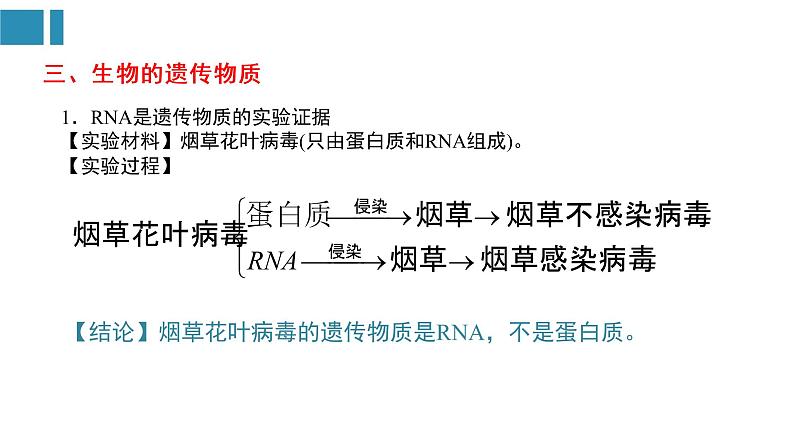 第3章 基因的本质（复习课件）-2022-2023学年高一生物单元复习（人教版2019必修2）第8页