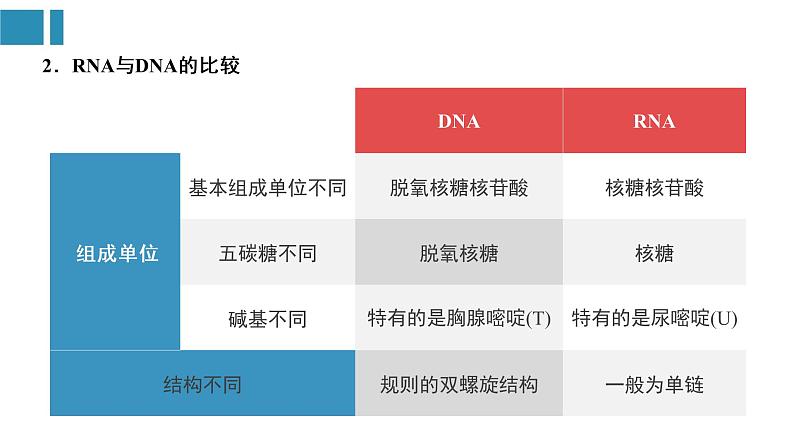 第4章 基因的表达（复习课件）-2022-2023学年高一生物单元复习（人教版2019必修2） [修复的]第4页