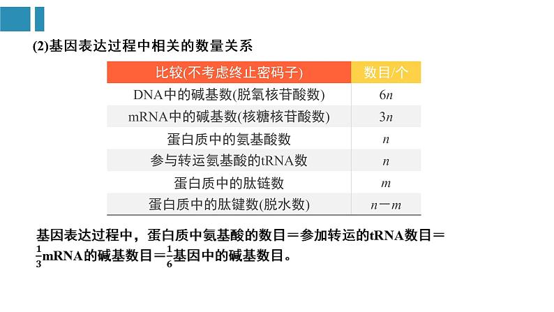 第4章 基因的表达（复习课件）-2022-2023学年高一生物单元复习（人教版2019必修2） [修复的]第8页