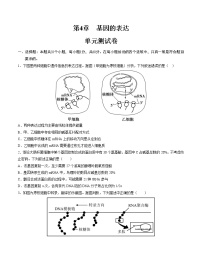 第4章 基因的表达（测试卷）-2022-2023学年高一生物单元复习（人教版2019必修2）