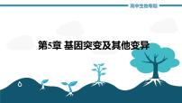 第5章 基因突变及其他变异（复习课件）-2022-2023学年高一生物单元复习（人教版2019必修2）