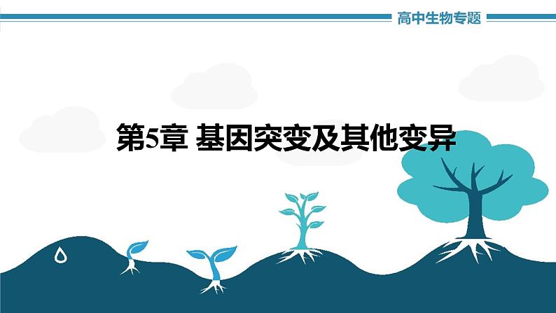 第5章 基因突变及其他变异（复习课件）-2022-2023学年高一生物单元复习（人教版2019必修2）第1页