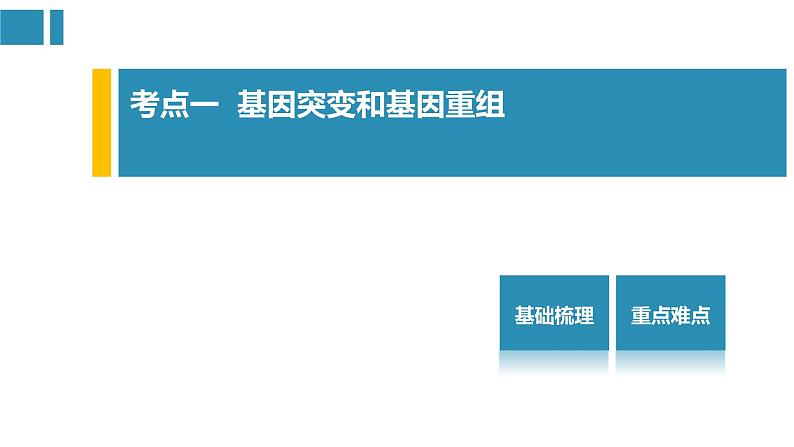 第5章 基因突变及其他变异（复习课件）-2022-2023学年高一生物单元复习（人教版2019必修2）第2页