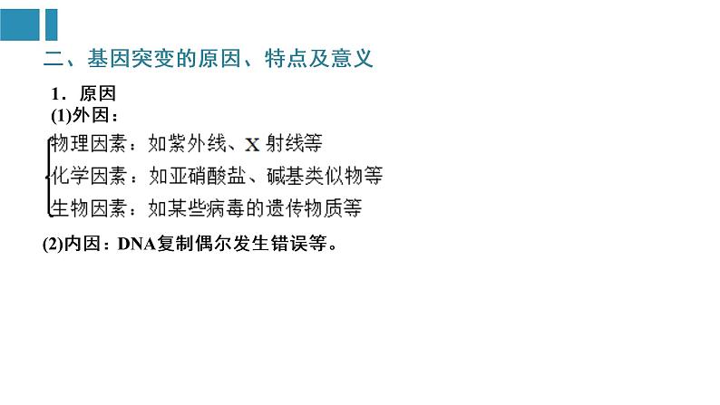 第5章 基因突变及其他变异（复习课件）-2022-2023学年高一生物单元复习（人教版2019必修2）第5页