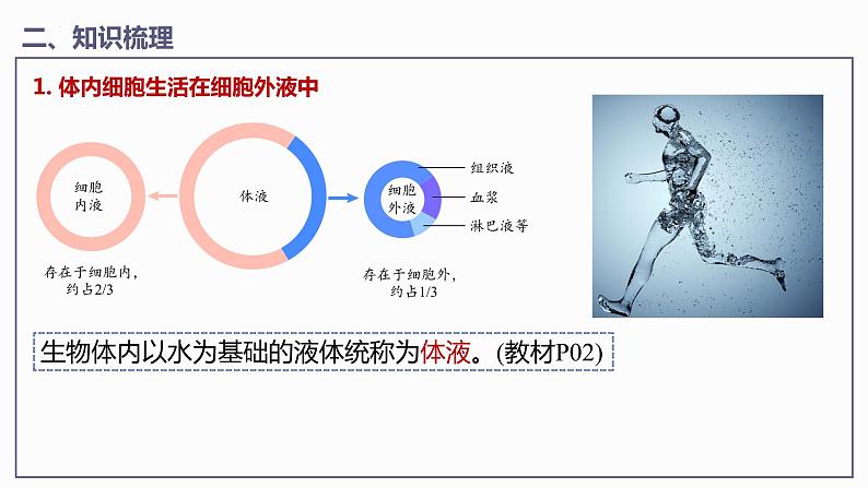 第1章 人体的内环境与稳态（课件）【过知识】-2022-2023学年高二生物单元复习（人教版2019选择性必修1）第6页