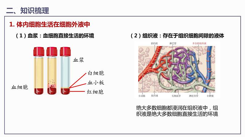 第1章 人体的内环境与稳态（课件）【过知识】-2022-2023学年高二生物单元复习（人教版2019选择性必修1）第7页