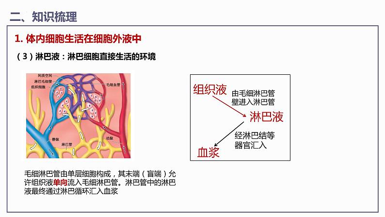 第1章 人体的内环境与稳态（课件）【过知识】-2022-2023学年高二生物单元复习（人教版2019选择性必修1）第8页