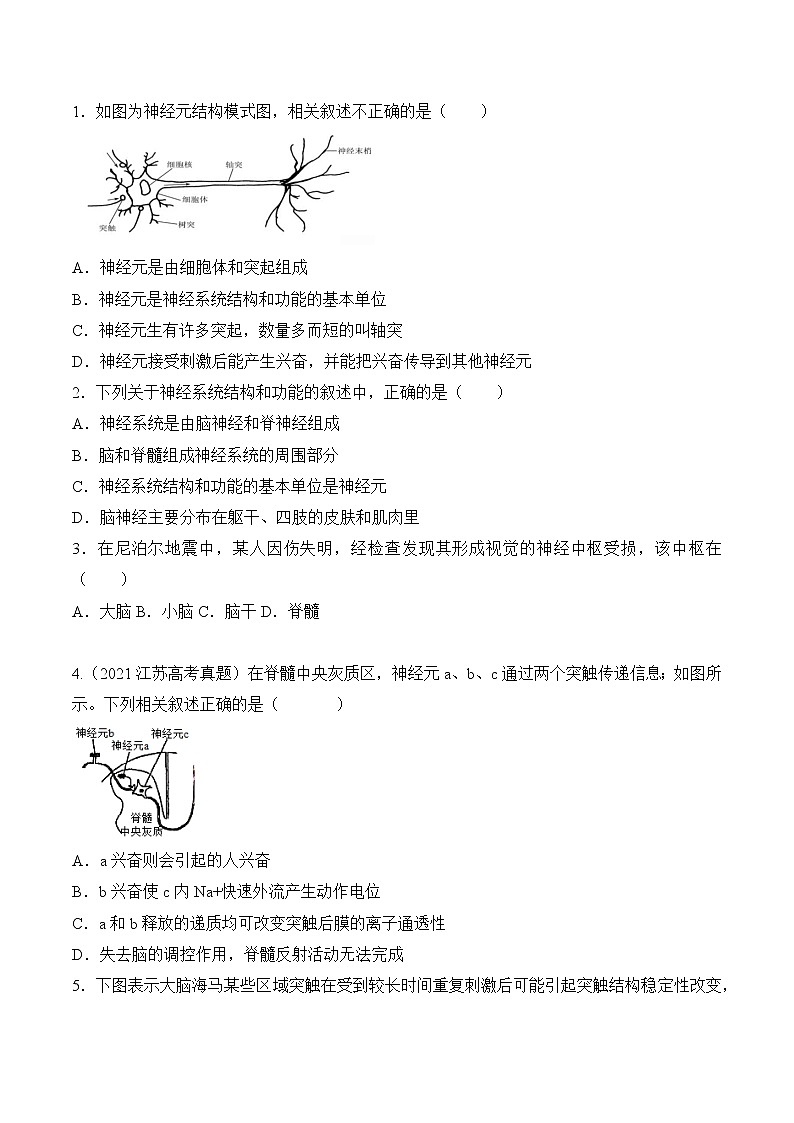 第2章 神经调节【过习题】-2022-2023学年高二生物单元复习（人教版2019选择性必修1）03