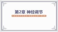 第2章 神经调节【过知识】（课件）-2022-2023学年高二生物单元复习（人教版2019选择性必修1）