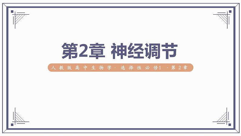 第2章 神经调节【过知识】（课件）-2022-2023学年高二生物单元复习（人教版2019选择性必修1）第1页