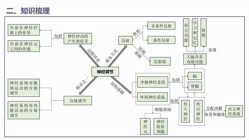 第2章 神经调节【过知识】（课件）-2022-2023学年高二生物单元复习（人教版2019选择性必修1）第6页