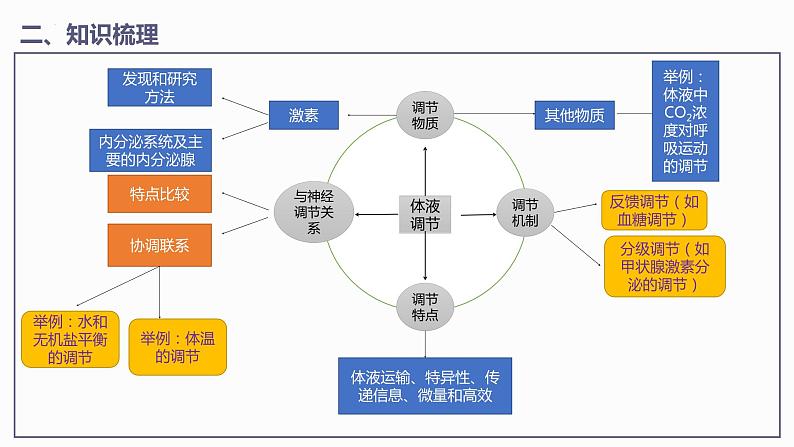 第3章 体液调节【过知识】（课件）-2022-2023学年高二生物单元复习（人教版2019选择性必修1）第6页