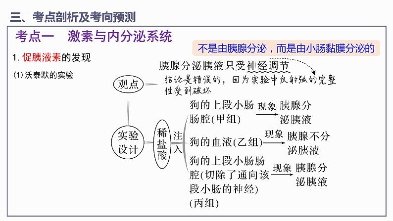 第3章 体液调节【过知识】（课件）-2022-2023学年高二生物单元复习（人教版2019选择性必修1）第7页