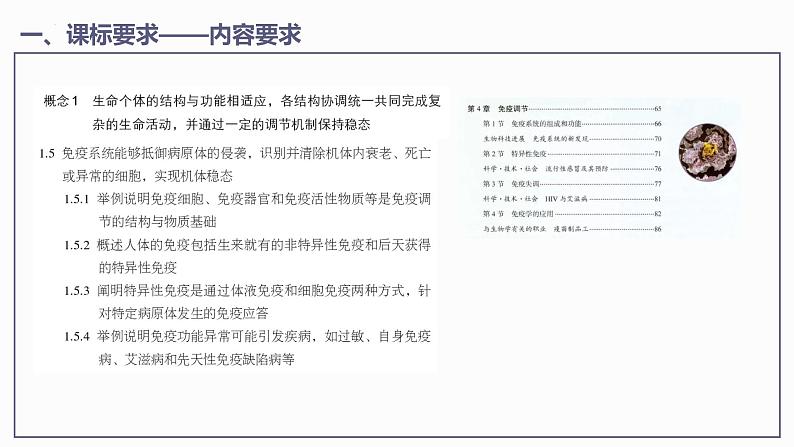 第4章 免疫调节【过知识】（课件）-2022-2023学年高二生物单元复习（人教版2019选择性必修1）03