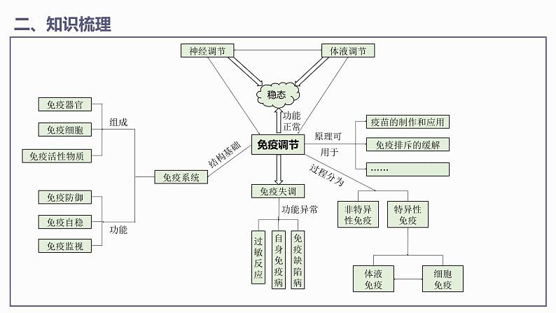 第4章 免疫调节【过知识】（课件）-2022-2023学年高二生物单元复习（人教版2019选择性必修1）05