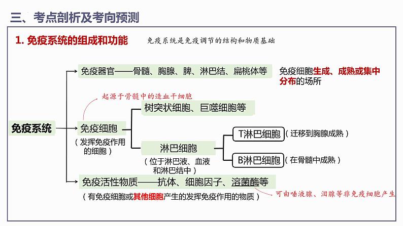 第4章 免疫调节【过知识】（课件）-2022-2023学年高二生物单元复习（人教版2019选择性必修1）06